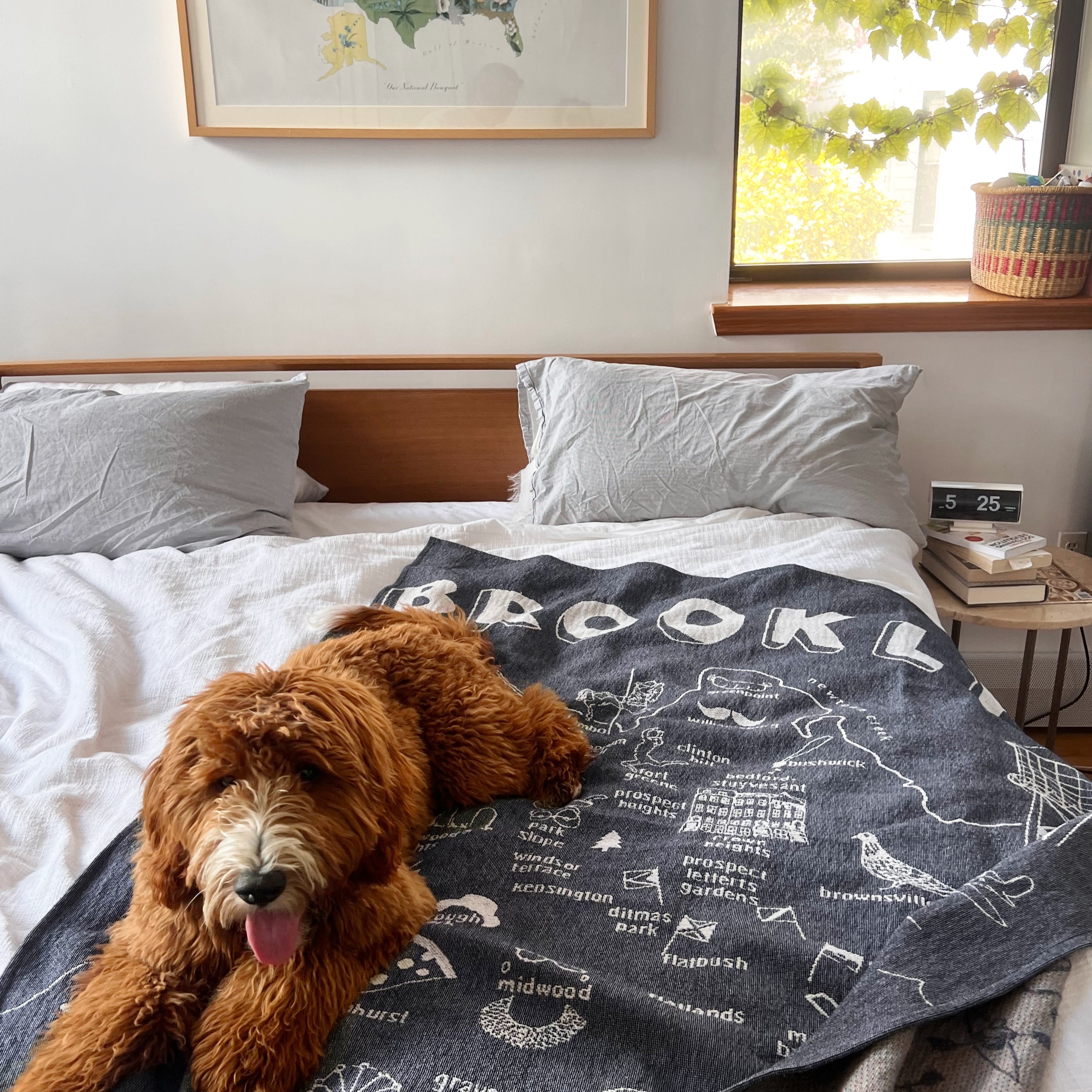 Cuddle Up With Our NEW THROW BLANKET!-Maptote