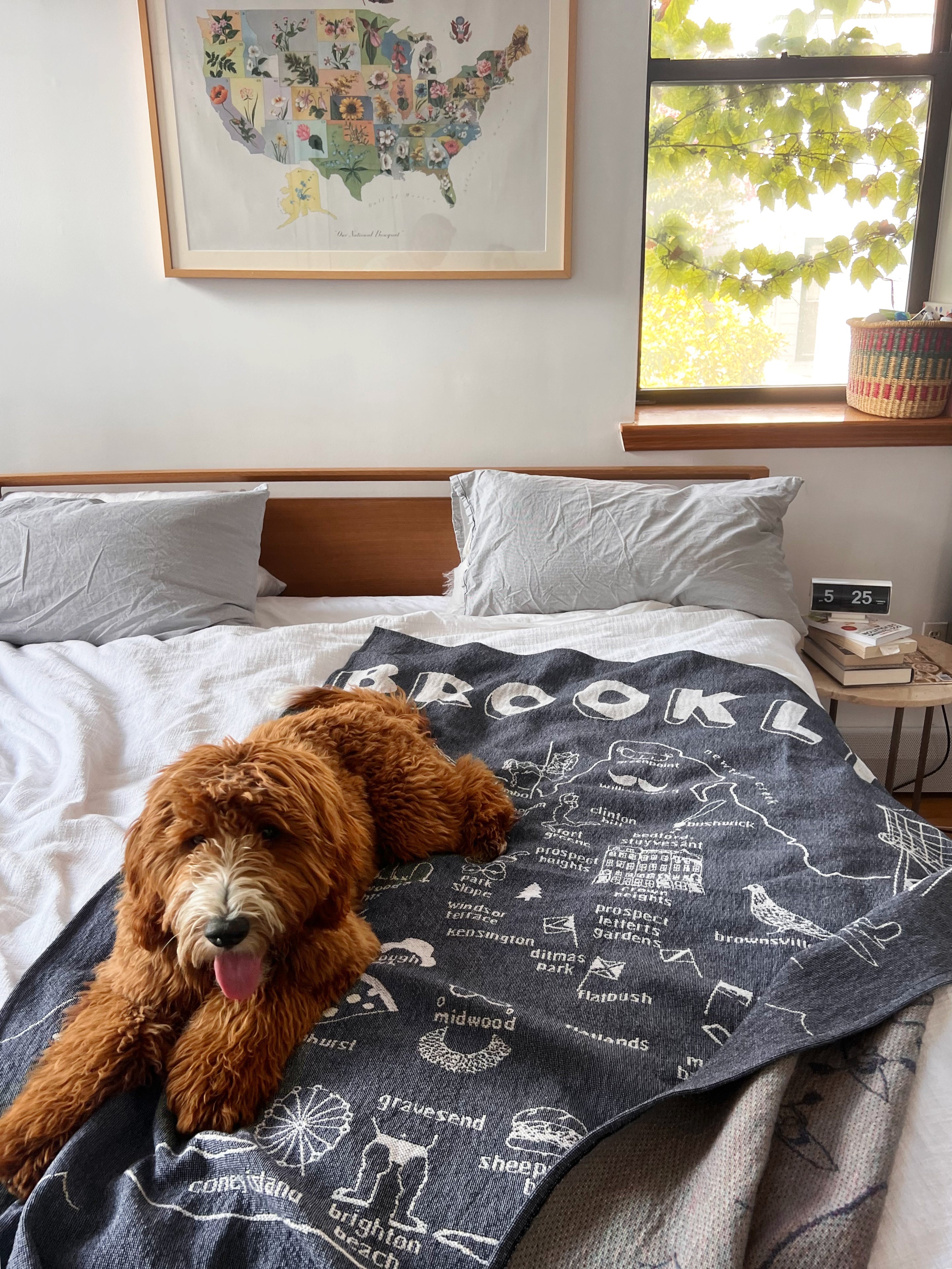 Cuddle Up With Our NEW THROW BLANKET!-Maptote